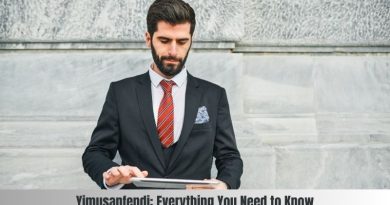 Yimusanfendi: Everything You Need to Know