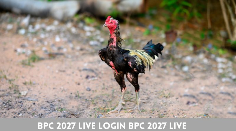 Bpc 2027 live Login BPC 2027 LIVE Registration guide