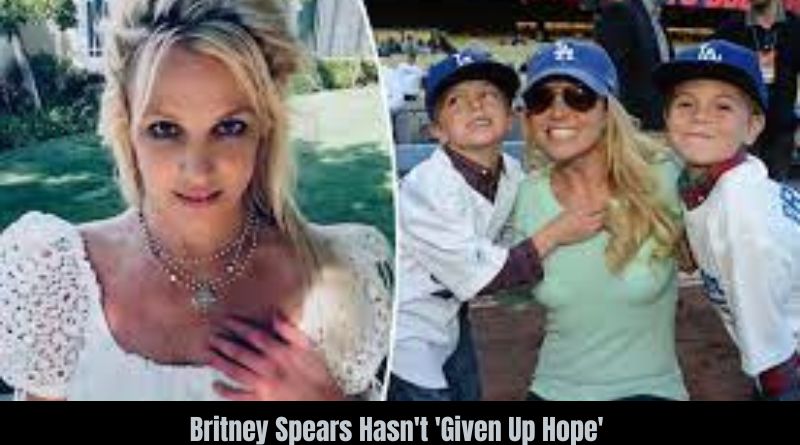Britney Spears Hasn't 'Given Up Hope' On Her Relationship With Her Kids Despite Their Move To Hawaii