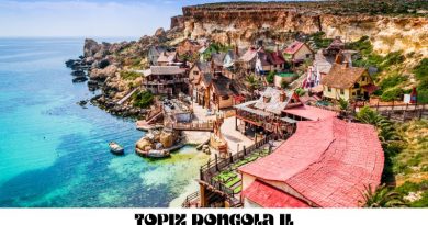 Topix Dongola IL: A Look at the Village and Its Administration