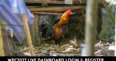 WPC2027 Live Dashboard Login & Register