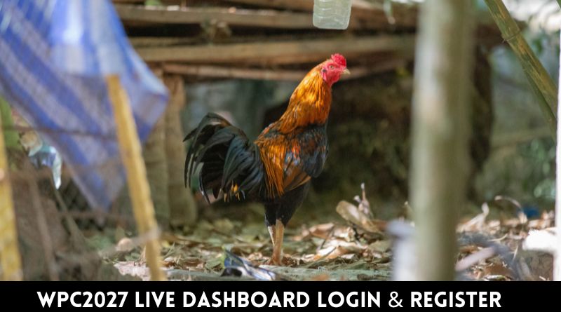 WPC2027 Live Dashboard Login & Register