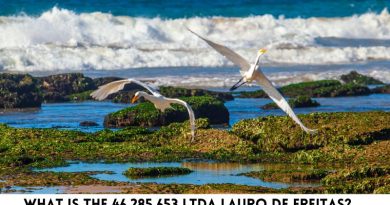 What Is The 46.285.653 Ltda Lauro De Freitas (2)