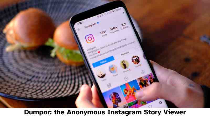 Dumpor the Anonymous Instagram Story Viewer