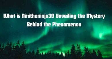 What is Ninitheninja30? Unveiling the Mystery Behind the Phenomenon