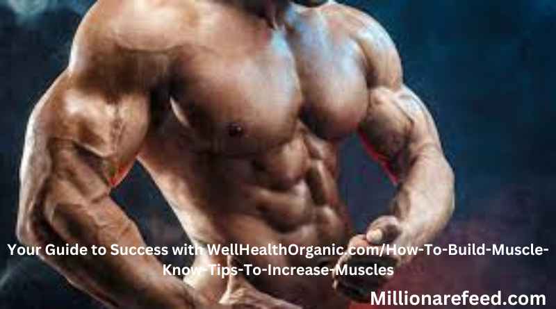 Your Guide to Success with WellHealthOrganic.com/How-To-Build-Muscle-Know-Tips-To-Increase-Muscles